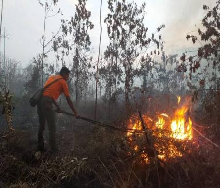 Ilustrasi petugas memadamkan hotspot di Riau (foto/int)